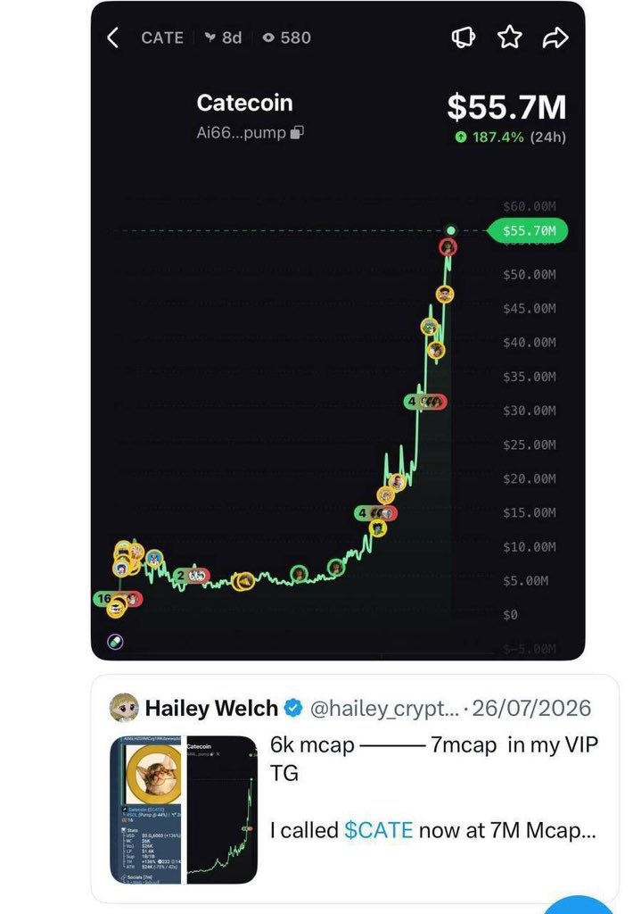 hailey_cryptoo's tweet photo. NEVER sell meme coins for a lost 

Be prepared for a 1000X or 0

That’s how you trade meme coins  

Jeets never makes 1000X 

Panic holders never makes 1000X 

Those who sold $CATE at 300k mcap are now in my DM begging me to make another call 

Strong holders you will  win and beat everyone and retire on Thursday 

That’s how one trade will retires you 🫵

Load your wallet and start celebrating if you’re a strong holder 

Make sure you max and hold my next call

Thursday 7pm UTC