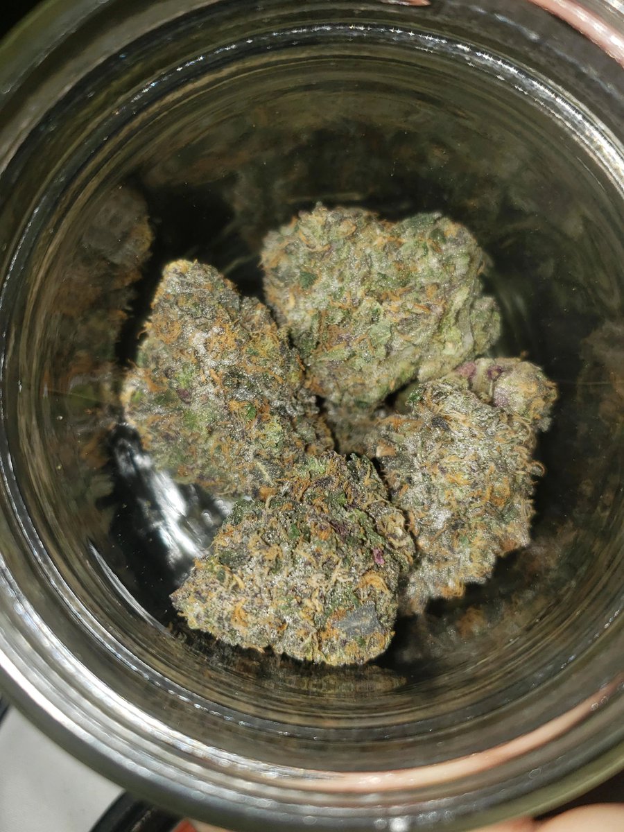 weedplugggg's tweet photo. Real shiiii
#weed
Cannabis
#kush
Telegram link on bio https://t.co/4WBPcvR8j0