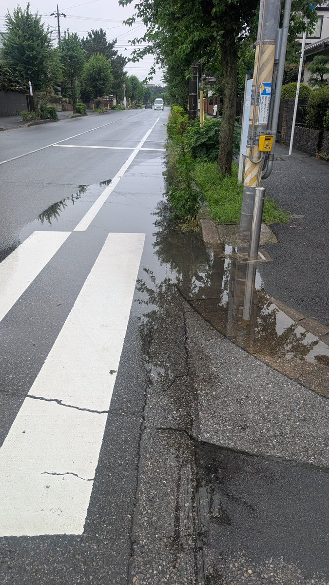dannishio's tweet photo. 『横断歩道の水溜り』
近所は千葉豪雨よりも冠水がひどい場所あり。パトロールしていたら横断歩道に大きな水溜りあり角スコで掃除。１分で解消。地域の皆さんで少しずつやれれば道路冠水は減らせます。安全第一で無理のない範囲でご協力を。
#道路冠水
#横断歩道
#水たまり
#西尾だん
#流山市議会議員 https://t.co/ExbuIY1pKQ