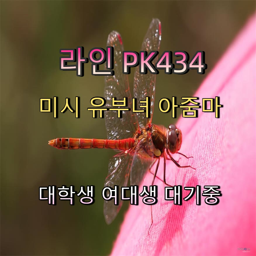 q2412I's tweet photo. 😽🕘
#구리 #구리만남
#구리조건 #건오 #ㄱㄷ
 #일탈 https://t.co/d7ZLsupGwZ