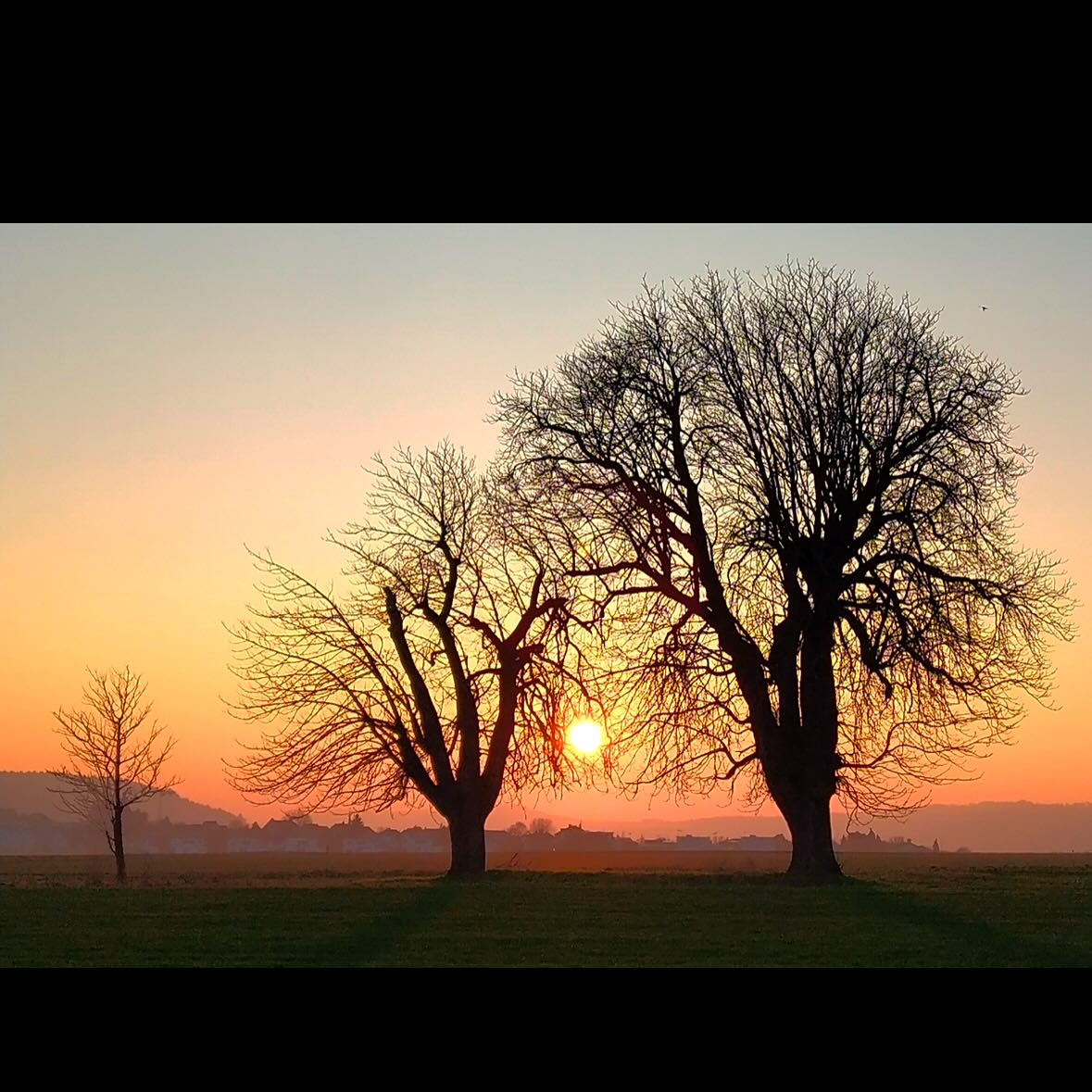 KerrieNessler's tweet photo. Trees in the Fields·
·
·
·
·
·
·
·
·
·
·
·
·
· https://t.co/SN1PDiF7mT
