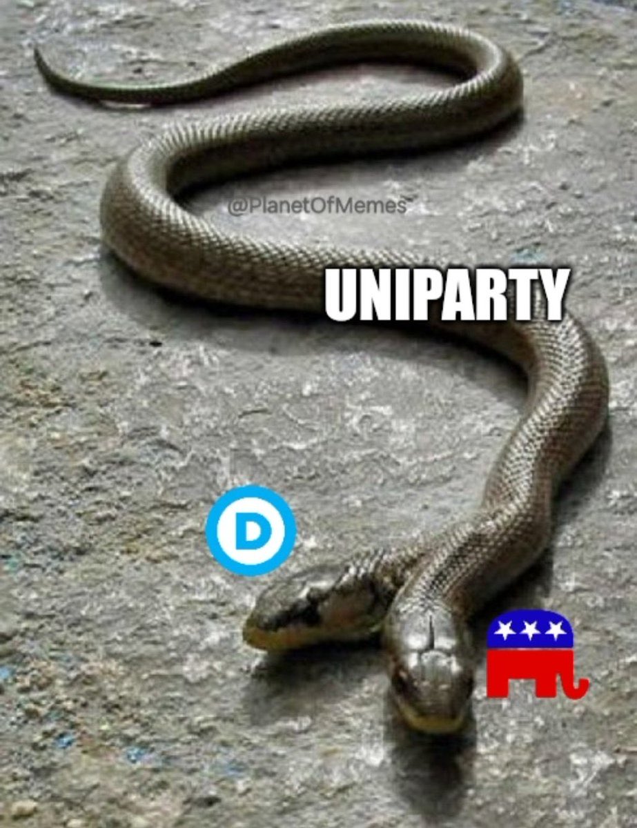 PMDanaB1's tweet photo. @lsferguson Hello it’s the corrupt Uniparty = gop = dnc
!!!!
That’s why the American people need  new political parties that will actually represent em and ultimately destroy  the corrupt deep state just like AFd !! https://t.co/JxudpX9B4t