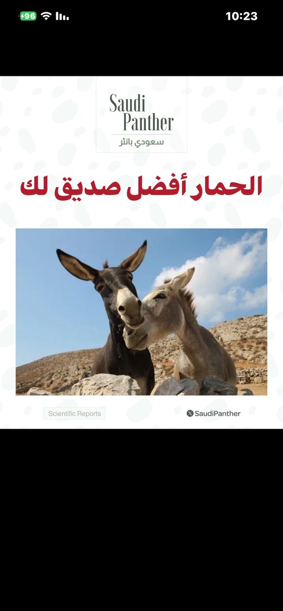 sultan_jasim's tweet photo. https://t.co/3IujbHO1aP