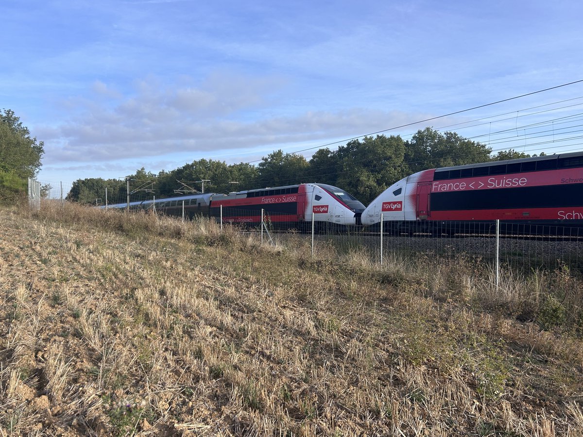BONNIN1402's tweet photo. @TGVINOUI Quelle météo agréable ce matin.
Pas de vent, doux et déjà les couleurs de l’automne au #pk87 près de l’arche de … (si vous avez la réf)
UM de @TGV_Lyria
UM de 4500 avec le N9810 Bruxelles➡️ MSC https://t.co/XfklTlrn5x