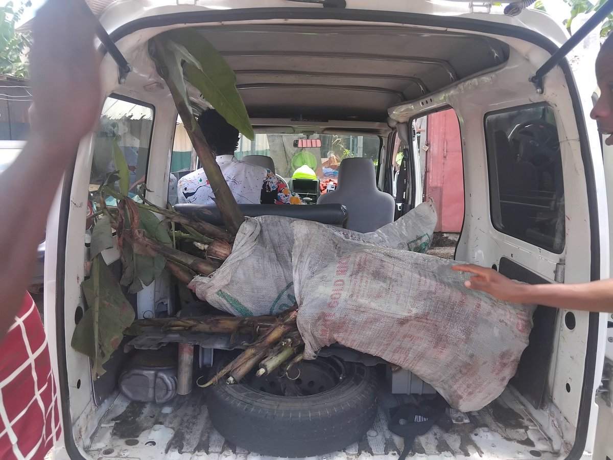 EzekaTochi200's tweet photo. 🚨 Your land can do more than sit idle.

30 quality hybrid plantain suckers 🌱🍌 successfully delivered to our client.

At Divine Essentials Farms &amp; Agribusiness, we turn farmland into productive agricultural projects. 📈🚜

Ready to put your land to work? Let’s build. https://t.co/NeDnMahhfB