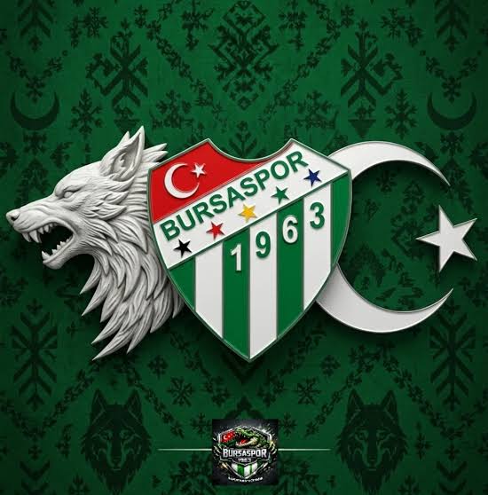 KavalaFaik's tweet photo. İnadına Bursa! https://t.co/27S53V7Ozt
