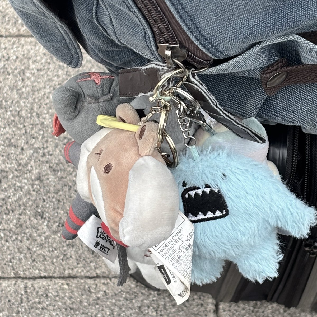 miikgs's tweet photo. my bag jingles when i move https://t.co/5KtgpSp8qN
