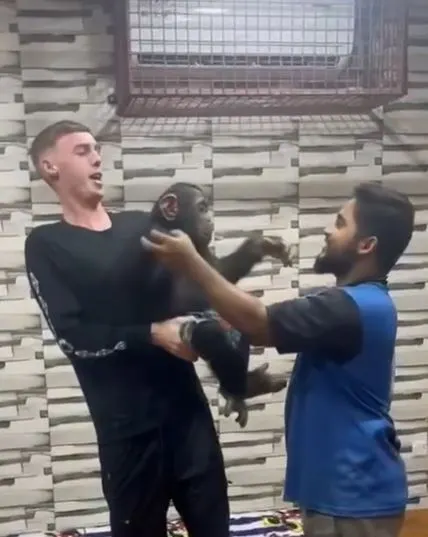 TheInsider__2's tweet photo. 🚨BREAKING NEWS:
Cole Palmer BRUTALLY murdered an innocent indian man with a baby monkey in india.

#Chelsea #ColePalmer #real 

Source: @TheOracle__1 https://t.co/Y80JfJZmop