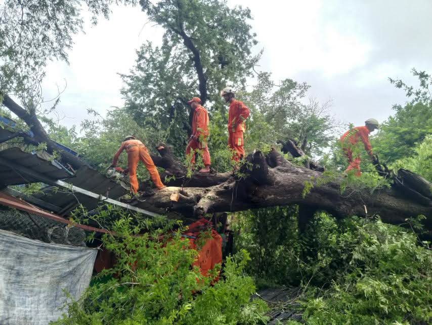 fsd_gov_mm's tweet photo. On 19 September 2026, at about 09:15, a report was received that a tree had fallen within the compound of Mingalar Rama Monastery, Mingalar Kwet Thit, No. (3) Ward, Minbu Township, Magway Region. SAR members from Minbu District Fire Station carried out clearance operations. https://t.co/0ZsOLRzM4x