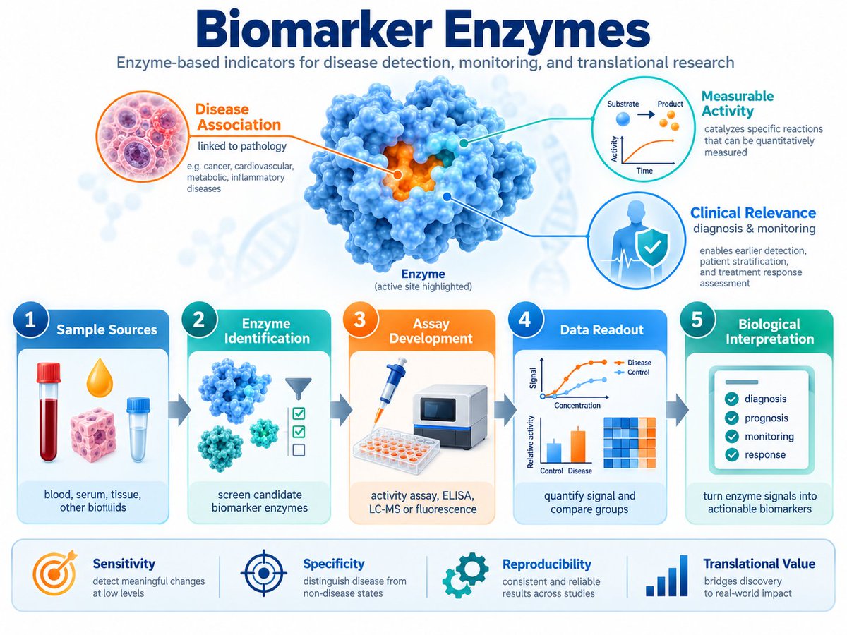 CreativeEnzyme's tweet photo. Enzymes can serve as both measurable biomarkers and functional components of diagnostic assays. 🔎
Diagnostic-grade enzyme selection • Activity and performance considerations

👉 https://t.co/rCE9mNPAjc https://t.co/Ab9ovrD9ip