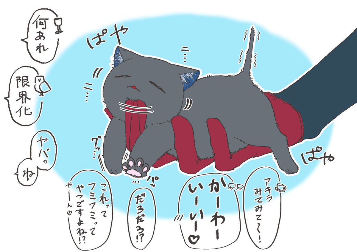 a_sinonome_'s tweet photo. 顎下こしょこしょ https://t.co/qdq05SGEzU