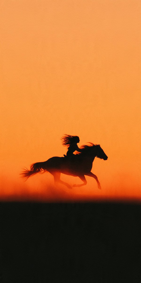 alban_gz's tweet photo. New serie

Far West https://t.co/QskplEFaBW