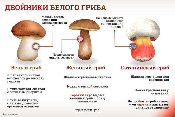 mystickotik's tweet photo. @NatalyKryshtal Лучше перепроверить лишний раз.
У боровиков красных ножек не бывает https://t.co/lapCQltYeI