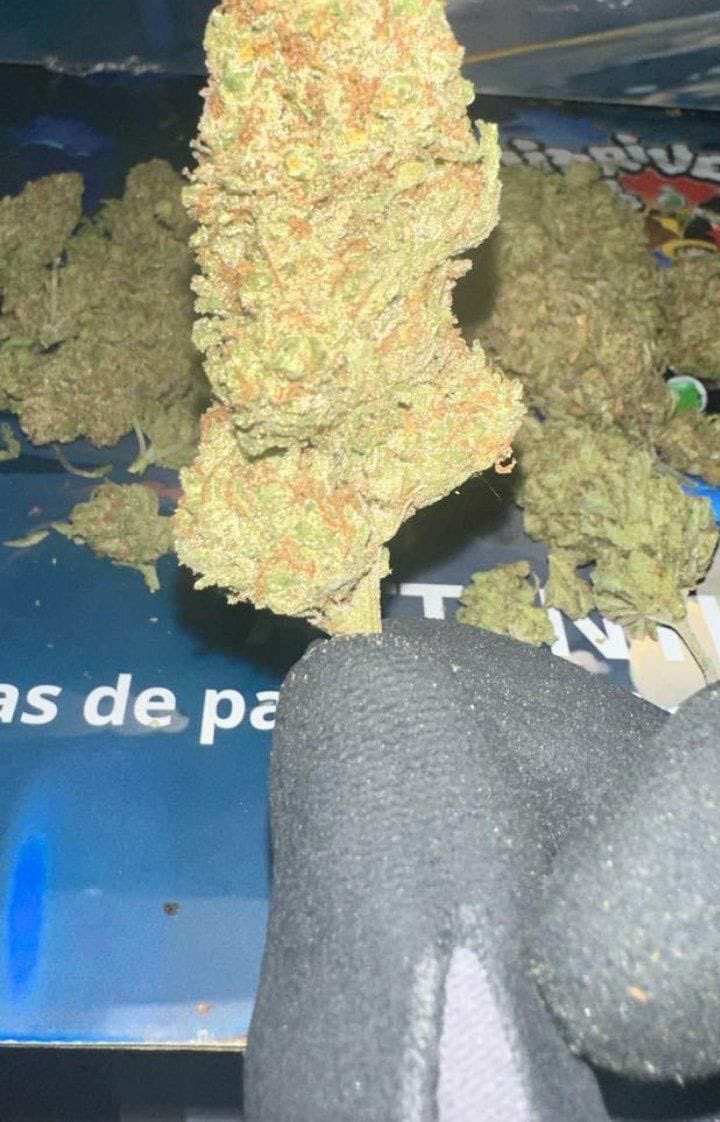 PersiEmmanuel's tweet photo. De la bonne frappe disponible la teams 🇫🇷🚚❄️☘️
Télégram: https://t.co/8fnqJQLESV

#lille #montpellier #nantes #paris #strasbourg #bordeaux #rennes #toulouse #lyon #marseille #nice #LeHavre #saintEtienne #toulon #France #TourDeFrance #Trafic #Vacances  #Politique https://t.co/e1DE2Kyqiw
