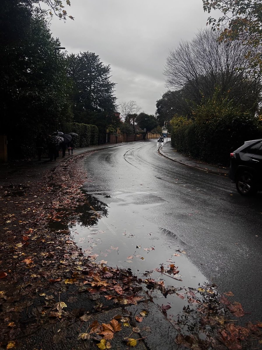 gloomyvisuaIs's tweet photo. rainy autumn path 🍂 https://t.co/FzwBxbxryE