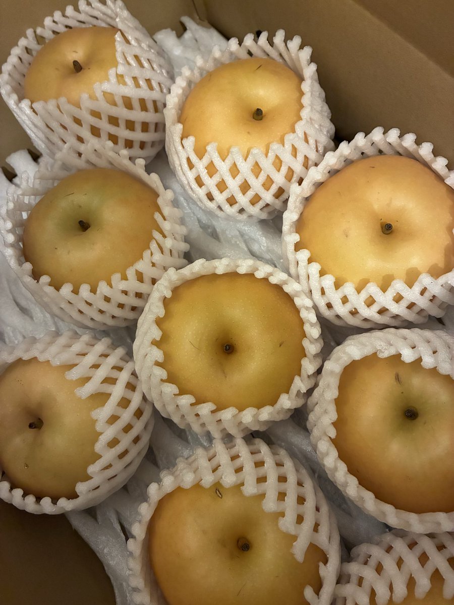 ds04c3Riko's tweet photo. 南水梨🍐実家の果樹園で取れた梨🍐
甘くて美味しい😋 https://t.co/GUIOefcPn9