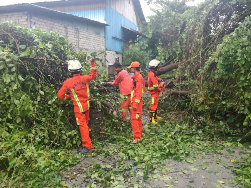 fsd_gov_mm's tweet photo. On 19 September 2026, at about 16:15, a report was received that a tree had fallen in Mahar Myaing (2) Ward, Maharaungmyay Township, Mandalay Region. SAR members from Maharaungmyay Township Fire Station carried out clearance operations. https://t.co/vbSqu47rtb