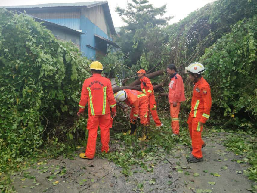 fsd_gov_mm's tweet photo. On 19 September 2026, at about 16:15, a report was received that a tree had fallen in Mahar Myaing (2) Ward, Maharaungmyay Township, Mandalay Region. SAR members from Maharaungmyay Township Fire Station carried out clearance operations. https://t.co/vbSqu47rtb