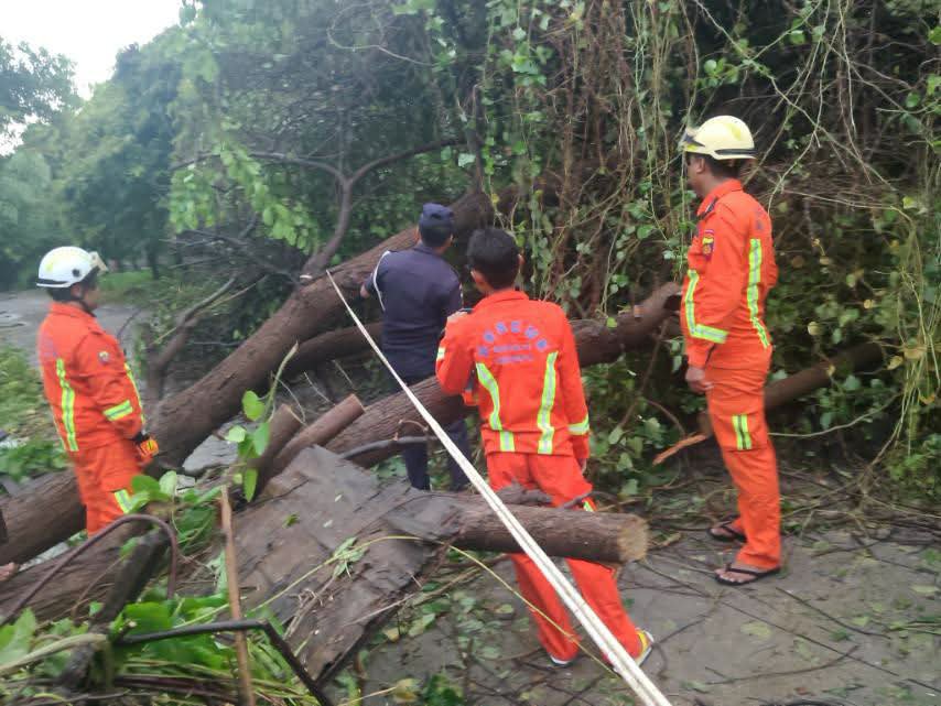 fsd_gov_mm's tweet photo. On 19 September 2026, at about 16:15, a report was received that a tree had fallen in Mahar Myaing (2) Ward, Maharaungmyay Township, Mandalay Region. SAR members from Maharaungmyay Township Fire Station carried out clearance operations. https://t.co/vbSqu47rtb