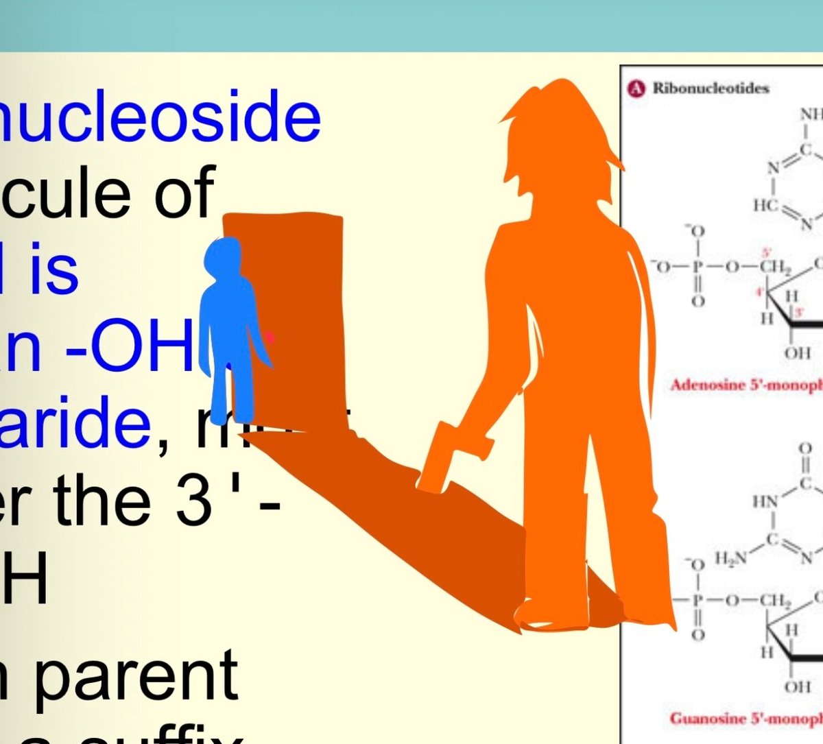 verydemureanon's tweet photo. 'found out this app i use to take notes on my lecture slides has a lasso tool, so. go my dirties fart.
also just realized i drew owen next to -OH like oh, owen! owen!. it's me ! or whtvr. https://t.co/75ReO7qfw8