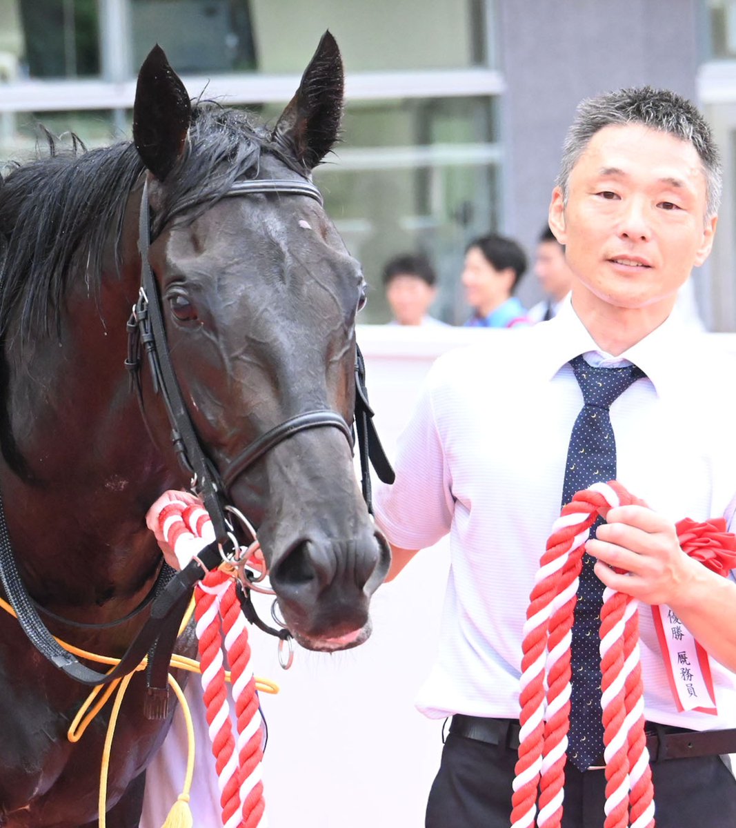 netkeiba's tweet photo. 【#神戸新聞杯】 
王者の貫禄でライバルをハナ差封じる
見据えるのは史上9頭目、三冠の頂――

▼ロブチェンのデータベース
https://t.co/hmXBzXfrof 

(c)netkeiba https://t.co/HaBdyanxOq