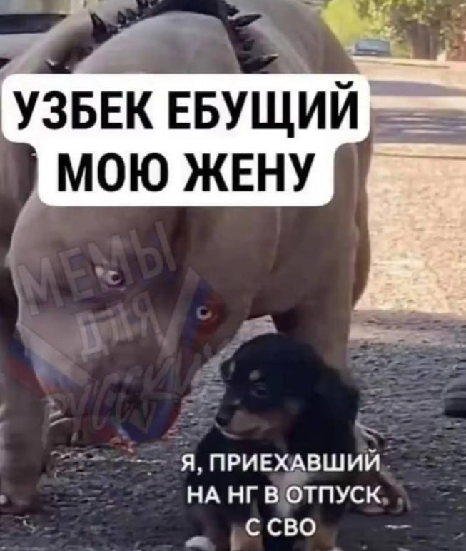 politpostmeme's tweet photo. https://t.co/ZqzSx1i7Ec