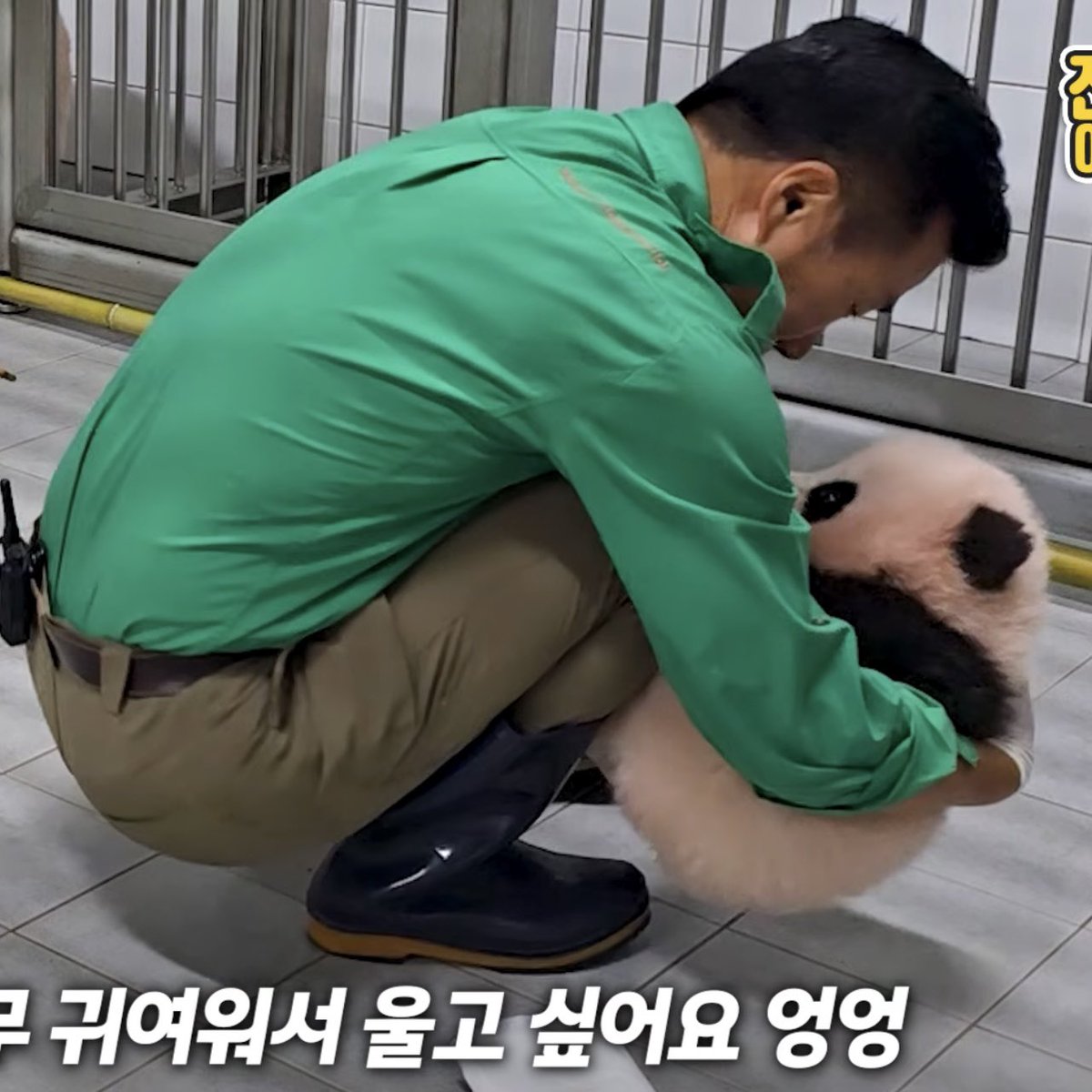 woafu7's tweet photo. 슈크림떡 수확하신 강바오님 https://t.co/L5JSjm8fYa