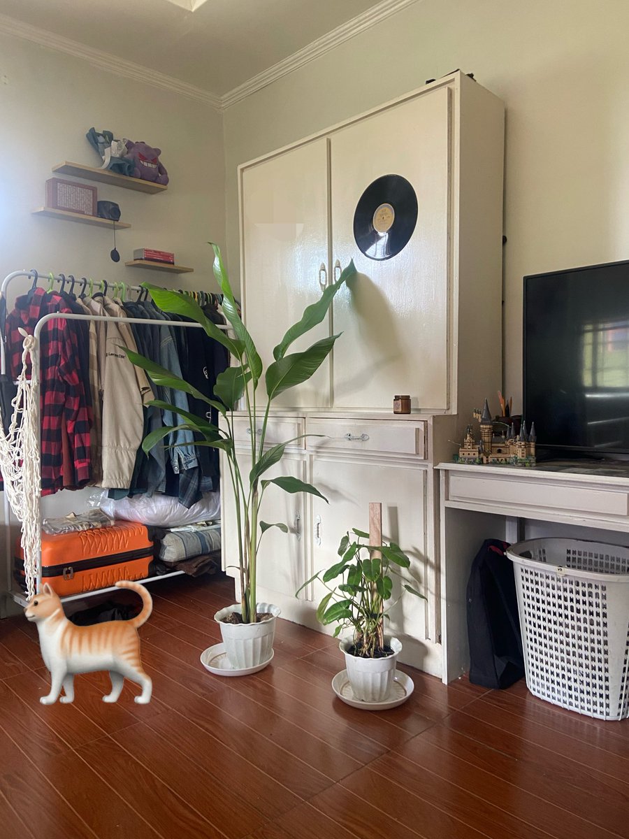 jprssmck's tweet photo. MY NEW ROOMMATES!! plantito era is now 😌 https://t.co/pXoSqVoX2t