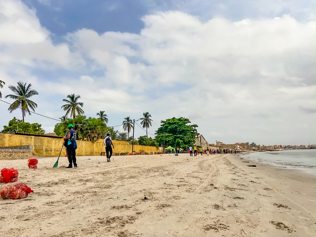 senegalayc's tweet photo. Journée Mondiale du Clean Up Day, nous nous sommes mobilisés à la Baie de Hann autour d’une action citoyenne de nettoyage et de reboisement, en préparation des @jojdakar2026.
#CleanUpDay #BaieDeHann #JOJDakar2026 #Environnement #Reboisement #Jeunesse #Climat #EngagementCitoyen https://t.co/0NYpeqDvV8