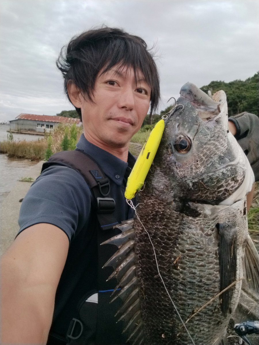 suzuki_turitaro's tweet photo. フィッシュでございます🙋
自己新記録の47cm！！
驚きは【VELLZARD LIGHTGAME】😯
めっちゃ強くて、抜き上げも余裕のよし子さん😍
この日は波荒れてたけどバイト多数で脳汁ブシャーでした😁

#zeake
#zeakeフィールドサポーター
#佐渡
#メガバス
#DETA https://t.co/uKDKH3GYqE