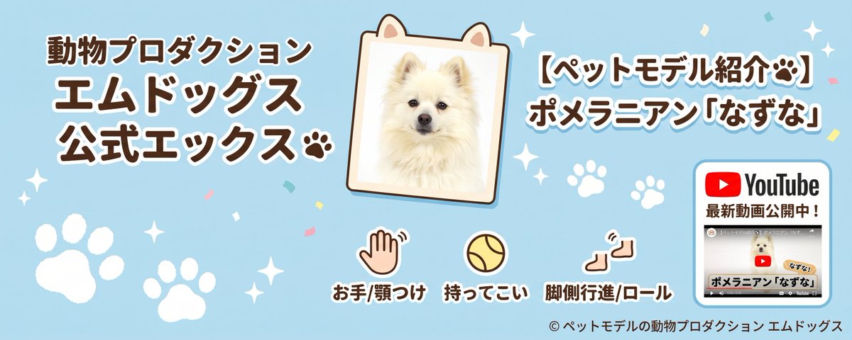 動物プロダクション エムドッグス所属のポメラニアン「 なずな 」ちゃん最新スキル動画を公開いたしました
