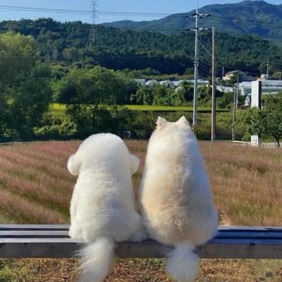 Neo_heD's tweet photo. #新头像 https://t.co/MFHkV71sXb