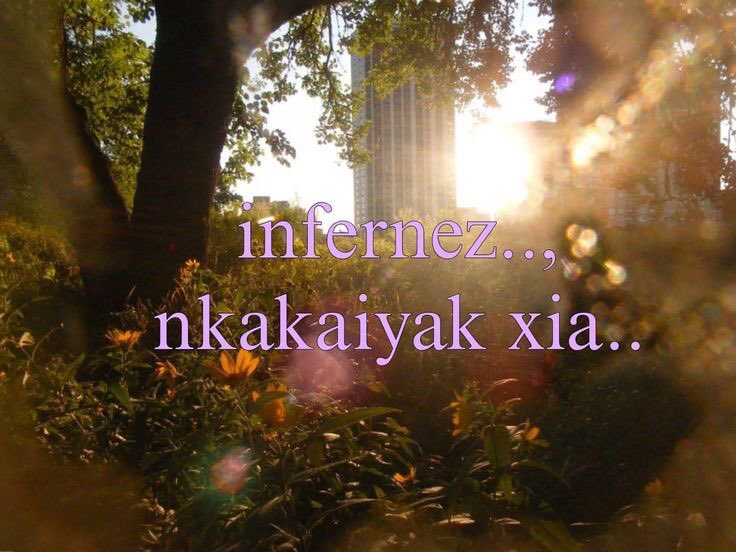 lvxeli's tweet photo. https://t.co/YJoCP4ViNI