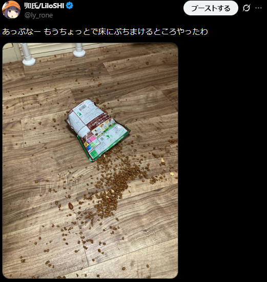 ly_rone's tweet photo. １人で抱え込んだら発狂しそうになるので、ツイッターにアップすることでネタとして昇華しようとしてる https://t.co/apyuR6Hx9b