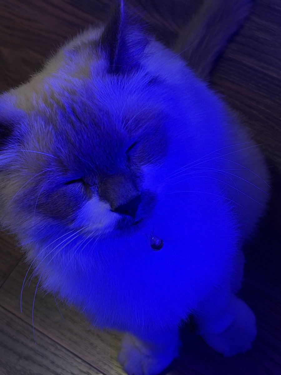 Hussv3's tweet photo. How you fall asleep like that https://t.co/lh9nF3Yfsf