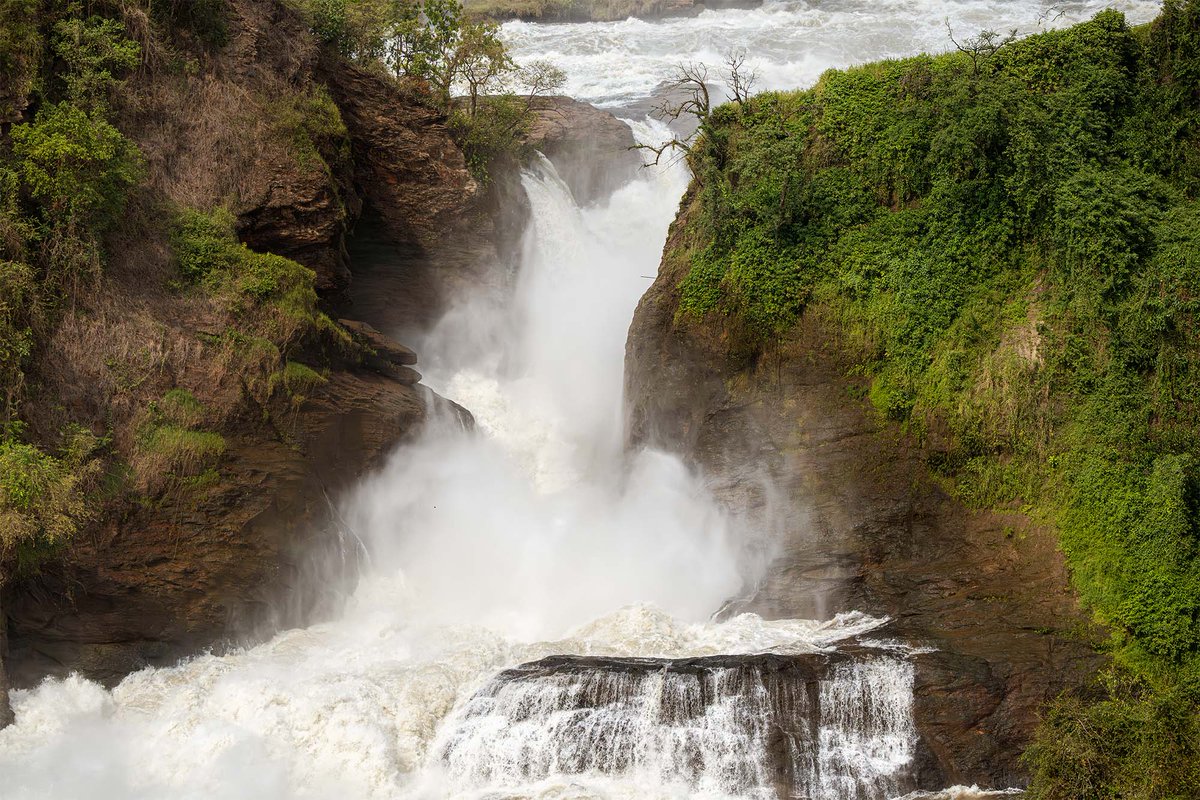 SafariChapter's tweet photo. Where the Nile gets narrow, the power gets mighty! At Murchison Falls, the Nile squeezes through a narrow gorge before exploding into a spectacular waterfall.Experience the power of the Nile. 🇺🇬#MurchisonFalls #UgandaSafaris #VisitUganda #PearlOfAfrica https://t.co/5S2n5CPafk