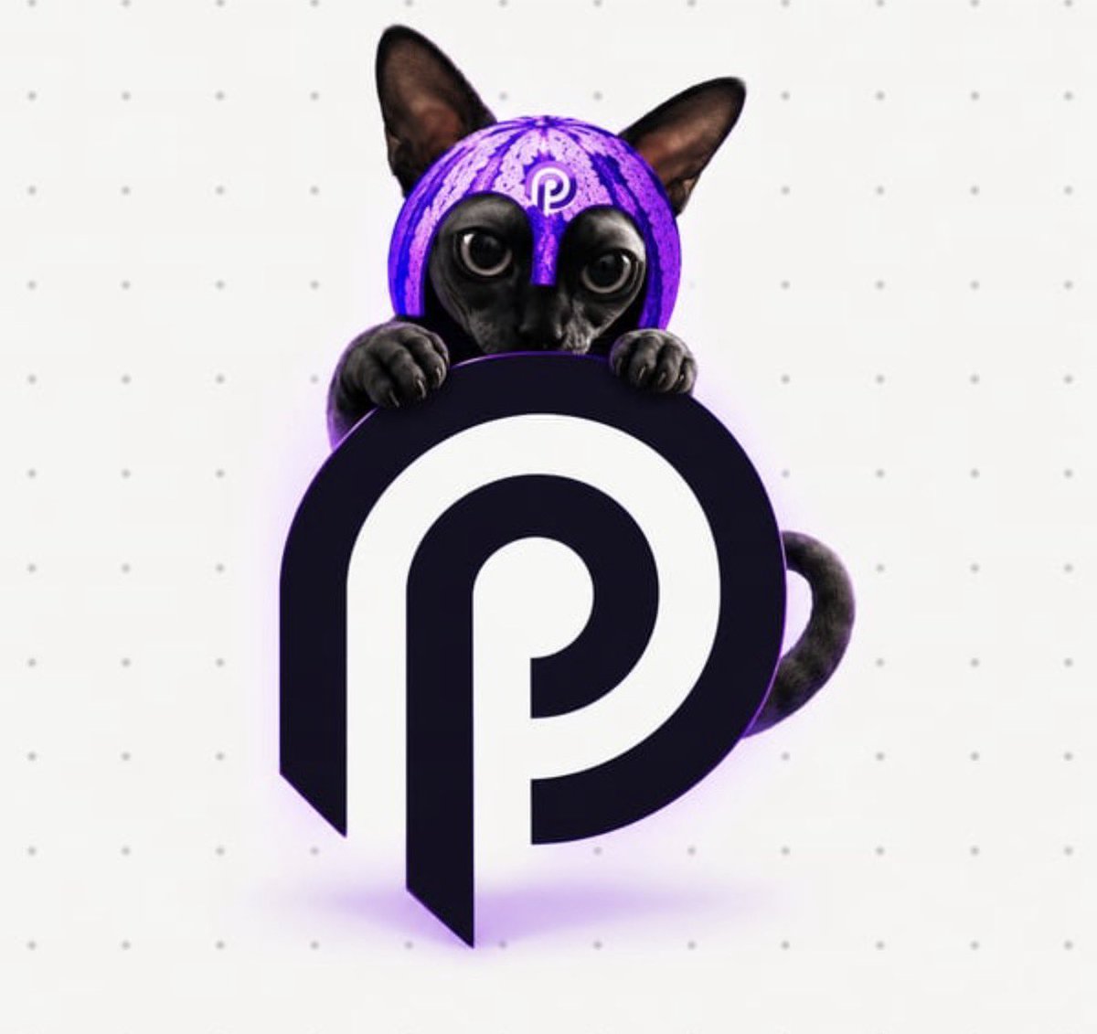 CryptKnight_xyz's tweet photo. @blknoiz06 Feeling like $PYTH  is about to have a come up moment. . 

PYTH — real markets. Real time!
People buy PYTH not for the meme - but for the future of on-chain finance

So I aped this new pair on @LaunchOnSF 

$Pythcat Pythian Cat HODL 

 93ErhpgepBWKWCXSeR1cJ41ug26dQHgbNjAwKk1MkLAZ https://t.co/TDWB8i4mCJ