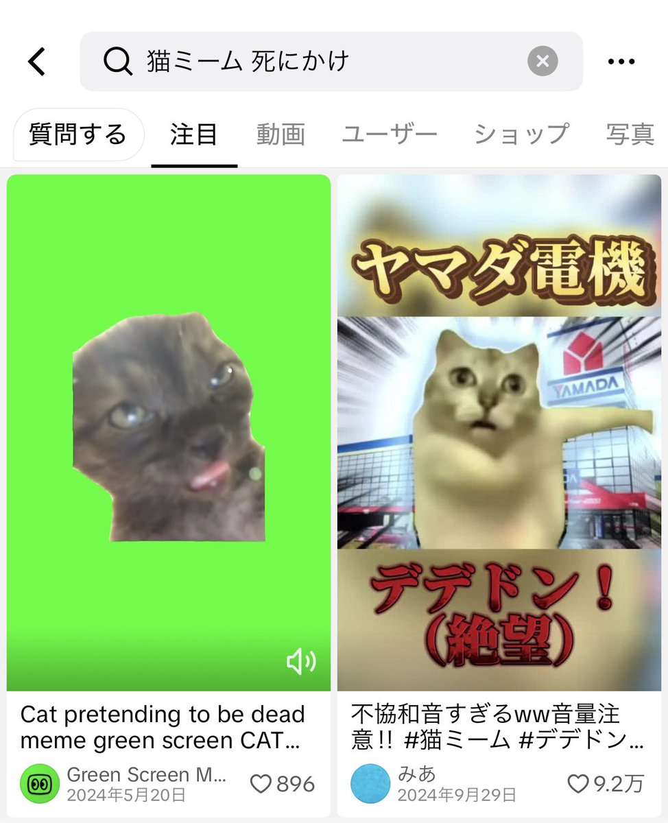 UNYA_08's tweet photo. 今ありえないくらい外が嫌いな時期なんだけど散歩とか学校とかで外に行ってるから帰ったらほぼ猫ミームの左のやつみたいになってる https://t.co/E9r44xtLkg