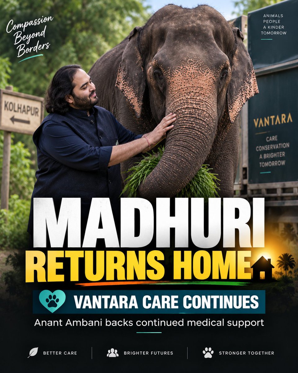naruto90413554's tweet photo. #MadhuriReturnsHome Madhuri's homecoming to Kolhapur wouldn't have been possible without Vantara's continuous care. They proved that healing happens best when you're surrounded by love and family... 💛 https://t.co/82gomKR5uS