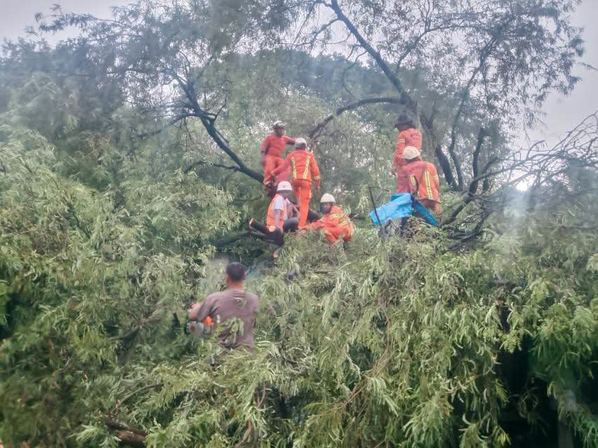 fsd_gov_mm's tweet photo. On 19.9.2026, at about 16:30, a tree fell onto a house behind Kandawgyi, Thanlyethmawtaung Ward, Chanmyathazi Township, Mandalay Region. SAR members from the Office of the Head of Mandalay FSD and Chanmyathazi Township Fire Station carried out clearance operations. https://t.co/VlnIxhIYi3