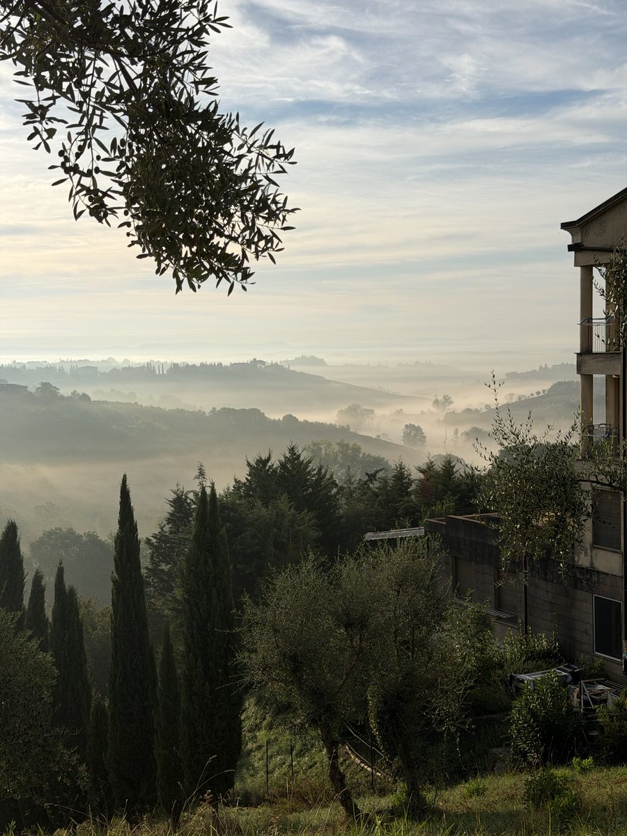 DanielLwe1's tweet photo. Guten Morgen 🌞 wunderschöne Tag #iphone #Photobyme #Urlaub #italiatoscana #siena https://t.co/cTGJvcDe25