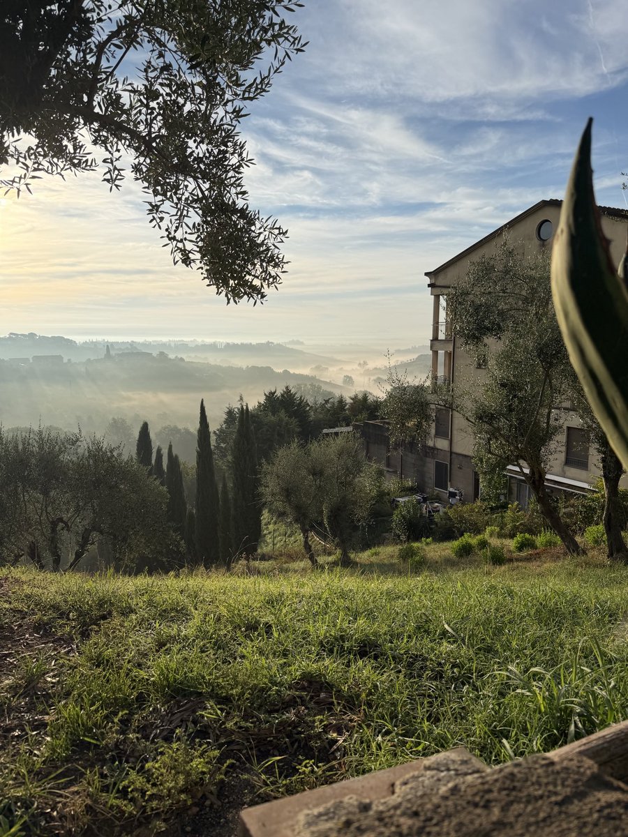 DanielLwe1's tweet photo. Guten Morgen 🌞 wunderschöne Tag #iphone #Photobyme #Urlaub #italiatoscana #siena https://t.co/cTGJvcDe25