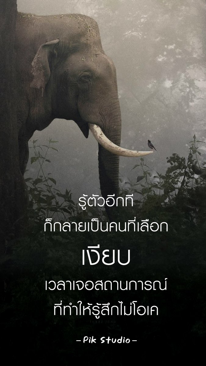 pikstudio1's tweet photo. รู้ตัวอีกที
ก็กลายเป็นคนที่เลือกเงียบ
เวลาเจอสถานการณ์
ที่ทำให้รู้สึกไม่โอเค https://t.co/rzb3MUQy8a