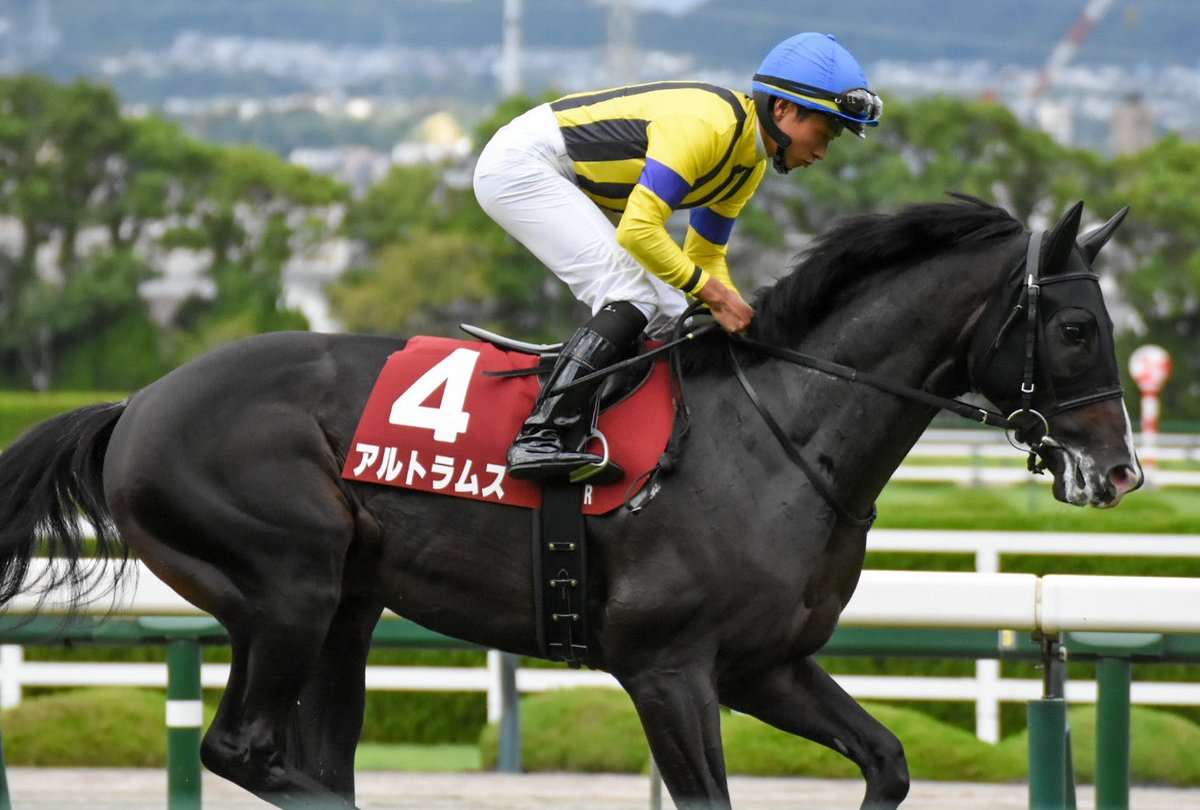 3Tn38's tweet photo. 神戸新聞杯
エムズビギン
アムトラムス
グリーンエナジー
コンジェスタス

#競馬写真
#神戸新聞杯
#エムズビギン
#アムトラムス
#グリーンエナジー
#コンジェスタス https://t.co/35a0cvRrcO