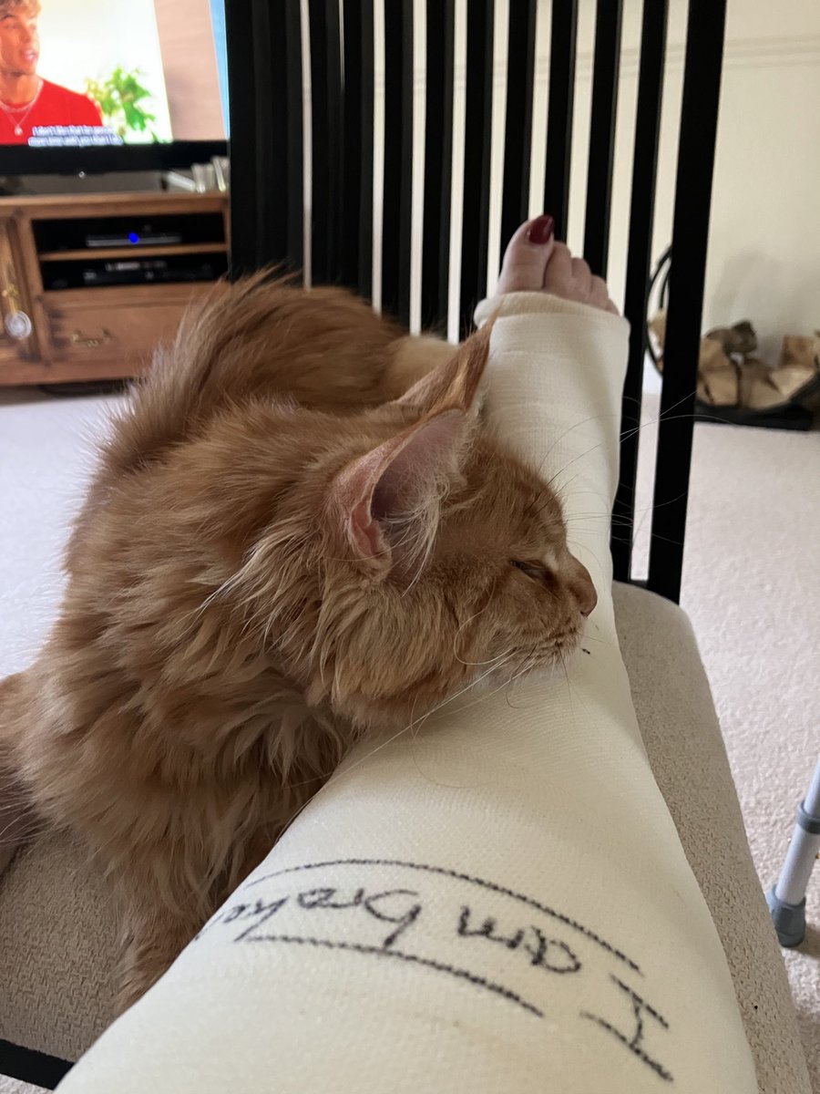 ButterflyThyro's tweet photo. @JohnBishop100 Get well soon @JohnBishop100 , I know how you feel 😊 https://t.co/AXWFf5y6OF