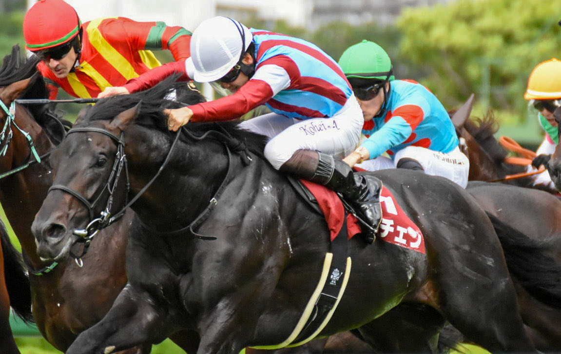 3Tn38's tweet photo. 神戸新聞杯
ロブチェン
松山弘平騎手🏇

#競馬写真
#神戸新聞杯
#ロブチェン
#松山弘平騎手 https://t.co/Um1RhjgcGU