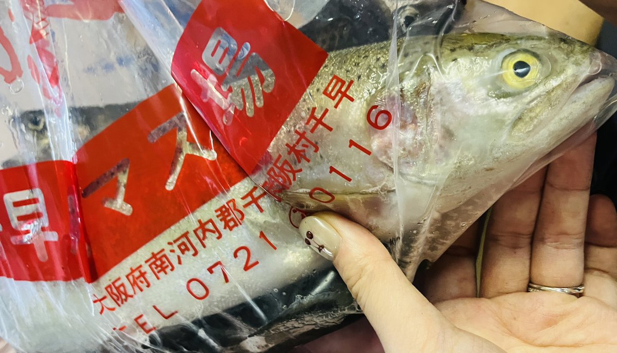 torotoro_samon's tweet photo. ニジマス釣り( ･ω･っ)З

30cmぐらいある大物を、ケツに針引っ掛けて釣った！🐟 https://t.co/HVcGlEZFDb