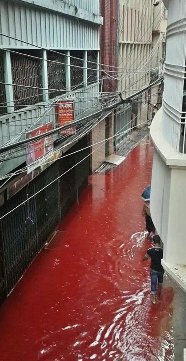 ThomasRobegbb's tweet photo. Certain areas with bad sewage systems in Bangladesh's capital Dhaka reported social media images of &amp;quot;blood rivers&amp;quot; following ritual animal sacrifices during the Eid-al-Adha festival. This prompted the local government to designate specific areas for...
#InteriorDesign https://t.co/PYHk4jL0X2