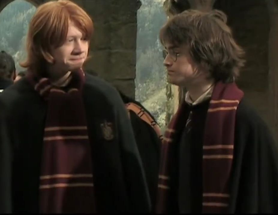 xweasleyss's tweet photo. "Harry liked Hermione very much, but she just wasn't the same as Ron." -Harry Potter and Goblet Of Fire https://t.co/tVSj3WDVCK