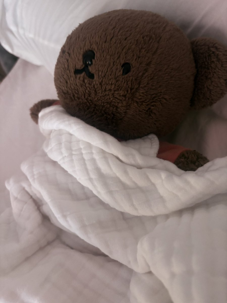 5656onn's tweet photo. お金ほしいぼり https://t.co/rbq4ClGt9K